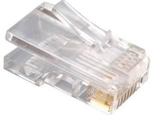 Gembird wtyk RJ45, UTP, kat. 5e (100szt.) 8P8C